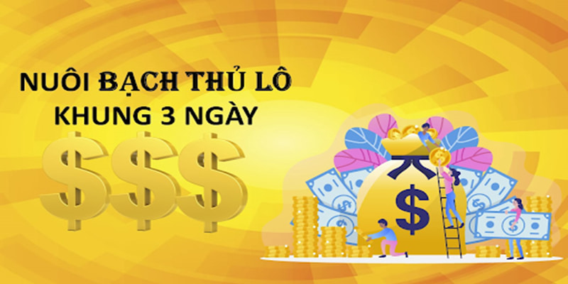 bạch thủ lô khung 3 ngày